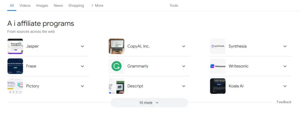 AI Overview example