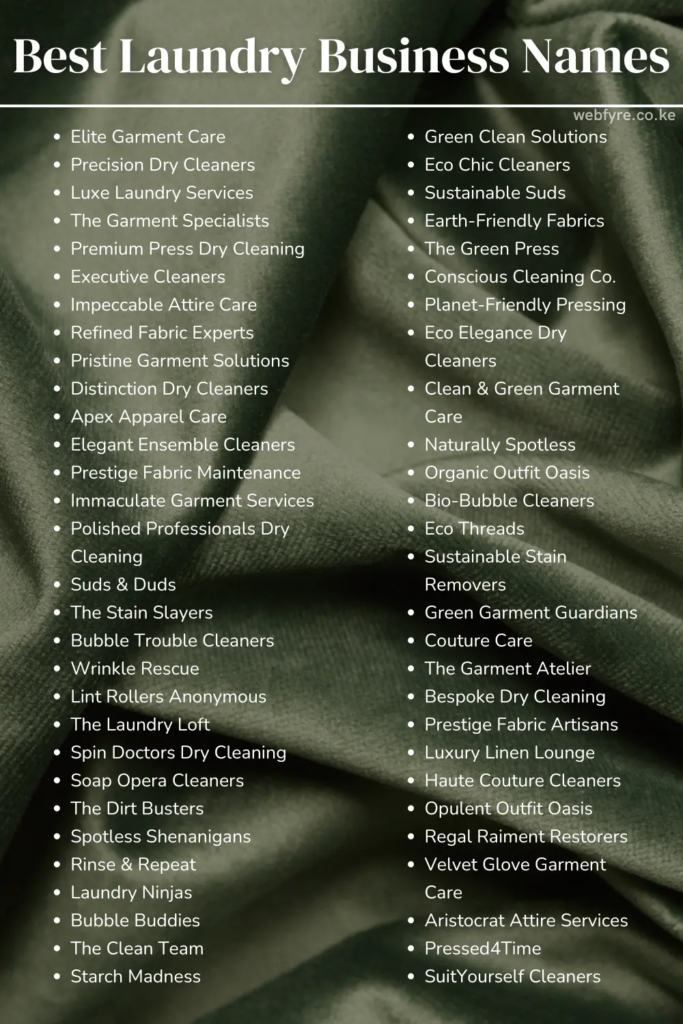 Best Laundry Business Names